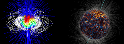 Observations and numerical simulations of M dwarfs magnetic fields